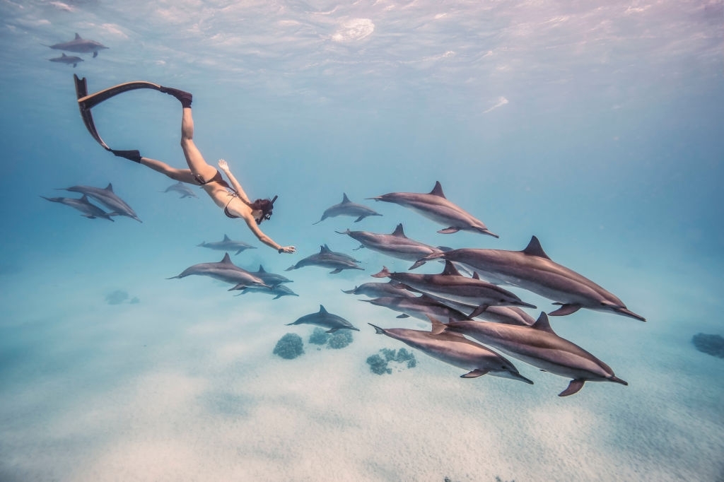 Captain Anderson’s Marina Dolphin Tours