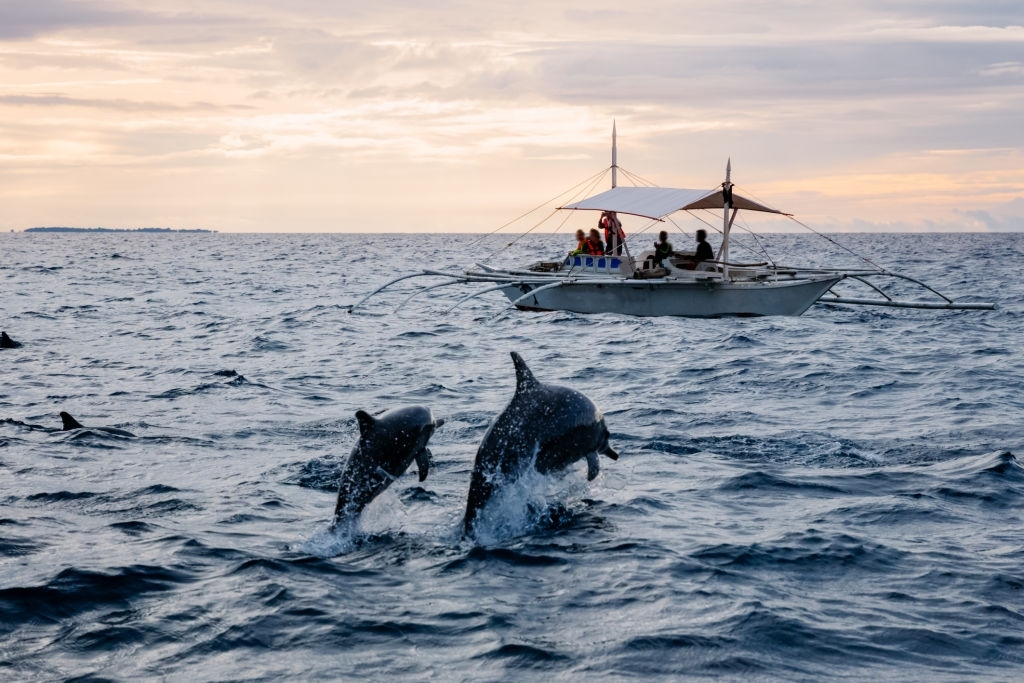 Captain Anderson’s Marina Dolphin Tours